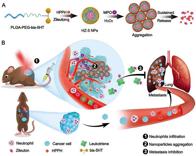 Advanced hitchhiking nanomaterials for biomedical applications