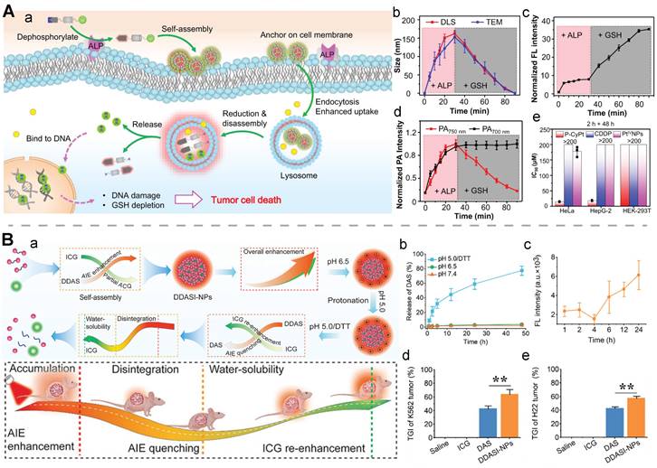 Theranostics Image