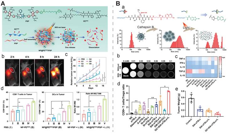 Stimuli Activatable Nanomedicine Meets Cancer Theranostics 3970