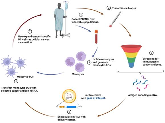 Path towards mRNA delivery for cancer immunotherapy from bench to bedside