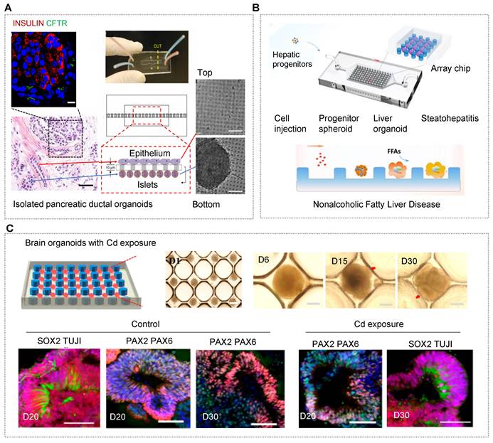 Theranostics Image