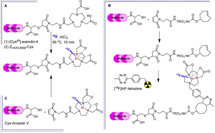 Theranostics Image