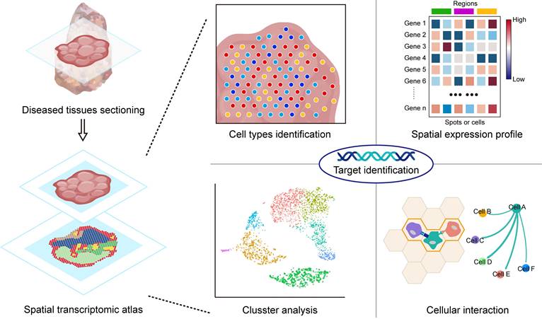 Theranostics Image