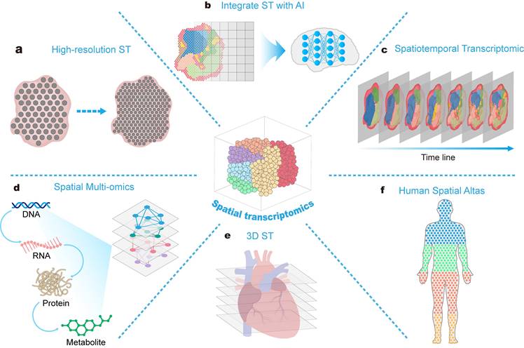 Theranostics Image