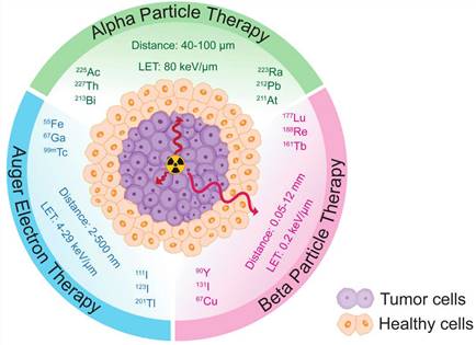 Theranostics Image