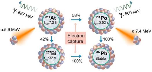 Theranostics Image