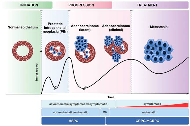Theranostics Image