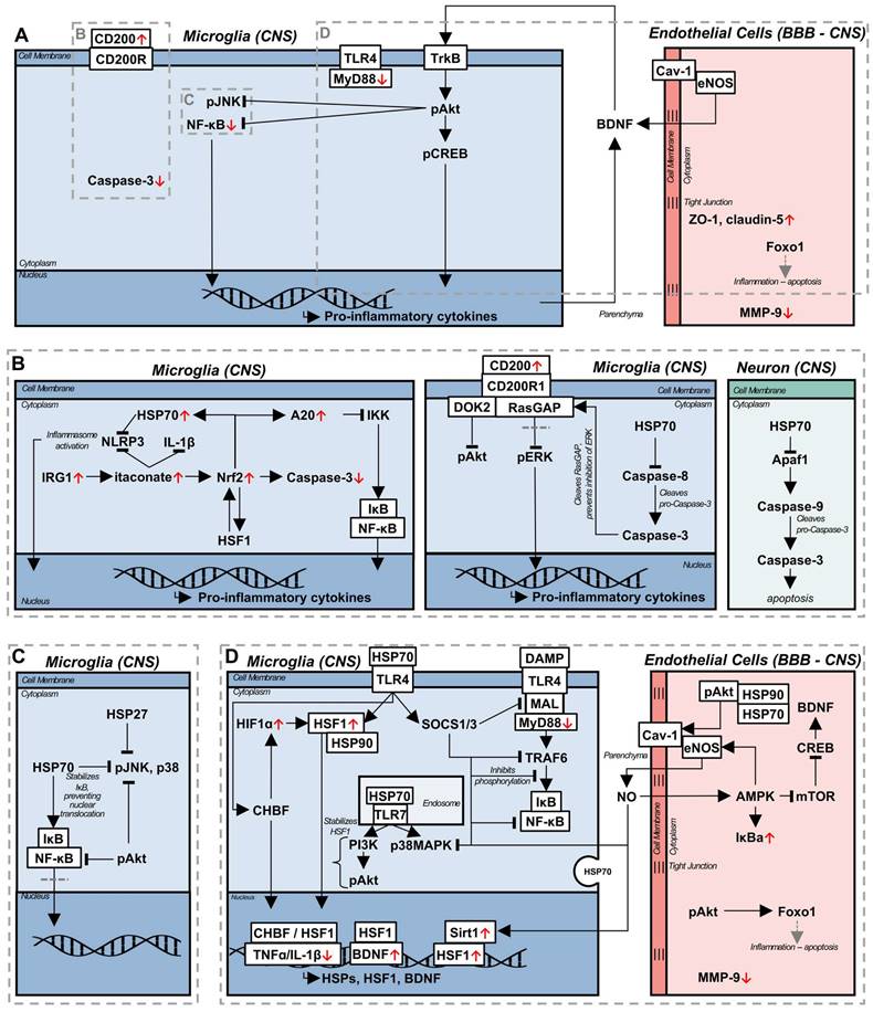 Theranostics Image