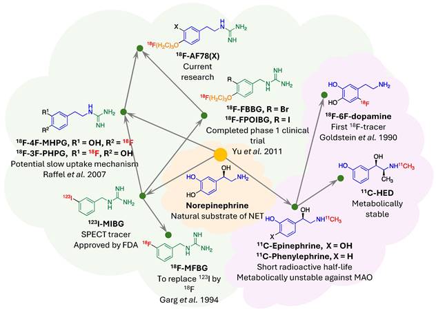 Theranostics Image