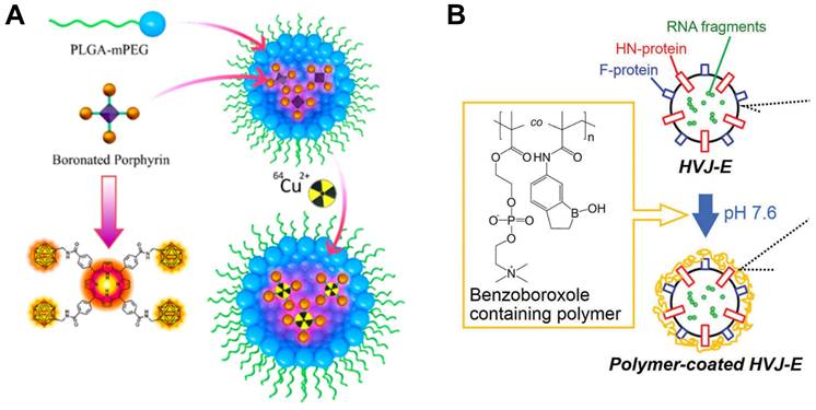 Theranostics Image
