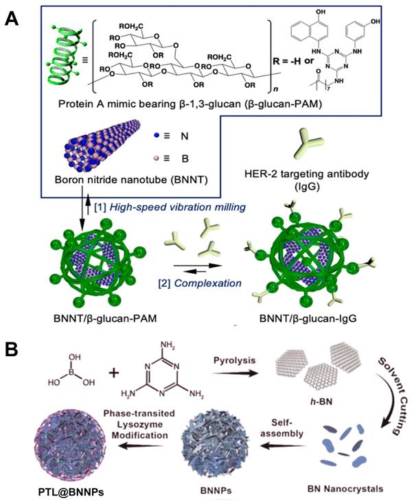 Theranostics Image