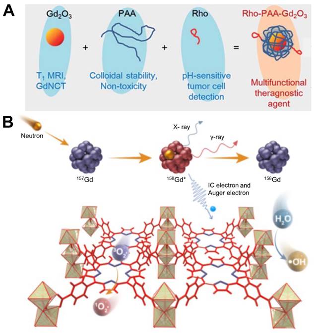 Theranostics Image