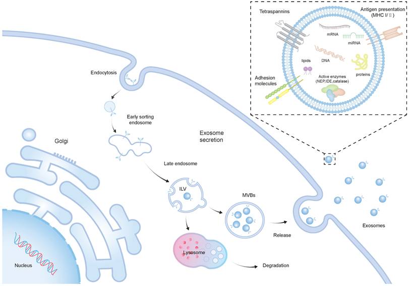 Theranostics Image