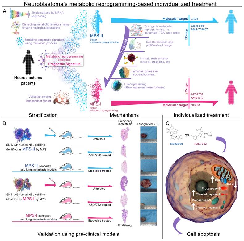 Theranostics Image