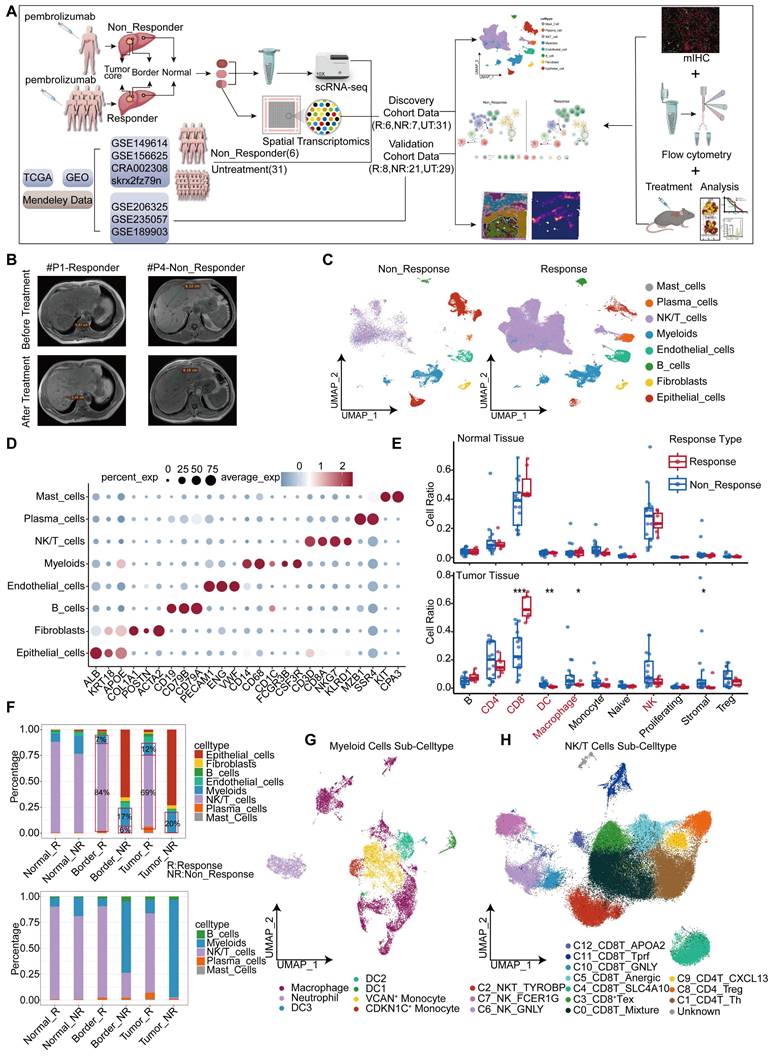 Theranostics Image