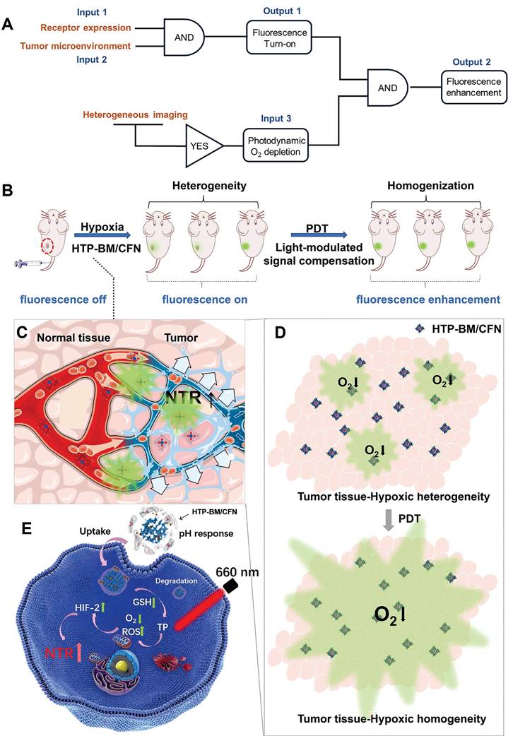 Theranostics Image