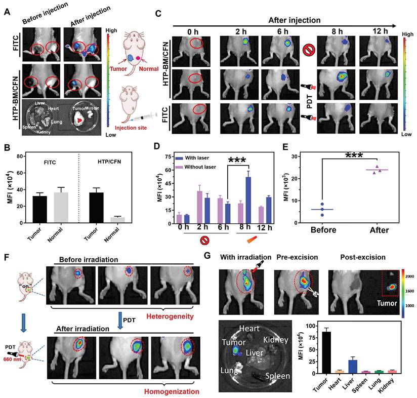 Theranostics Image