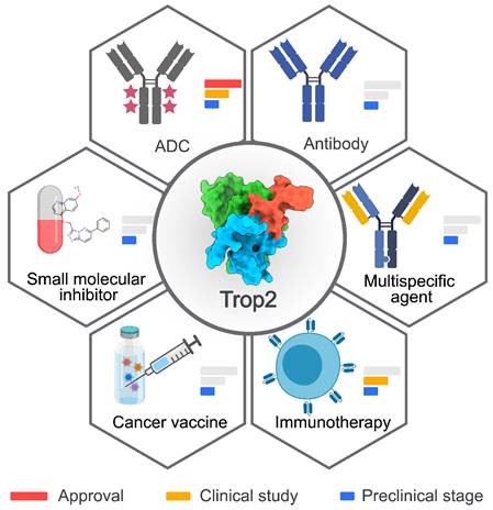 Theranostics Image