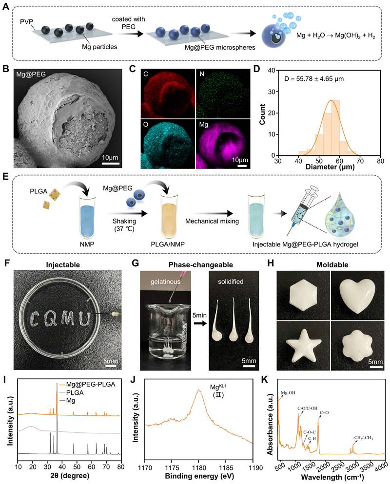 Theranostics Image