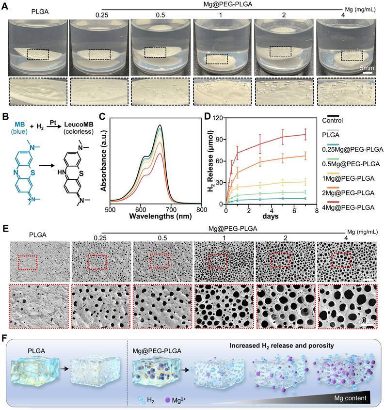 Theranostics Image