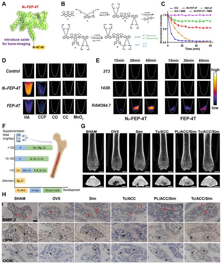 Theranostics Image