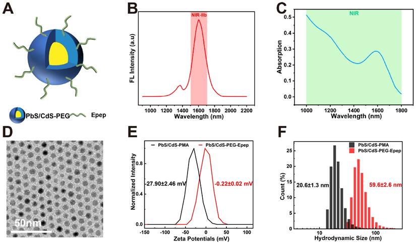 Theranostics Image