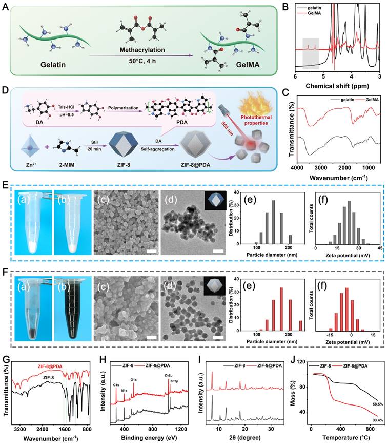 Theranostics Image