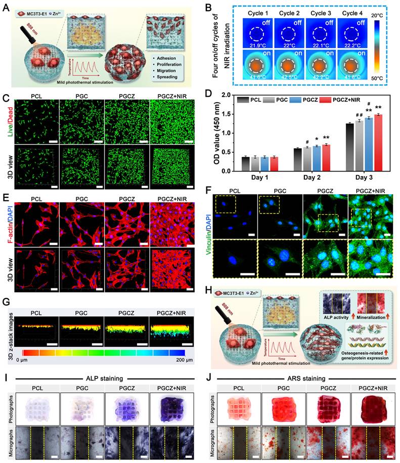 Theranostics Image