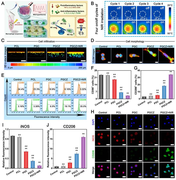 Theranostics Image