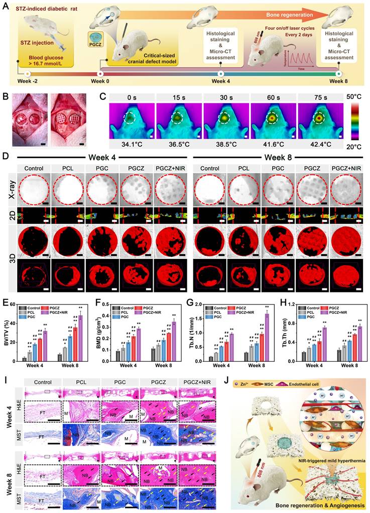Theranostics Image