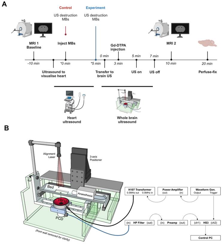 Theranostics Image