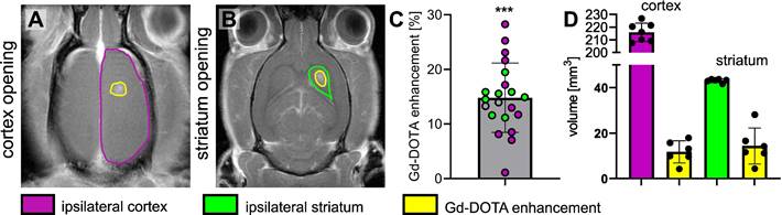 Theranostics Image