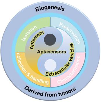 Theranostics Image