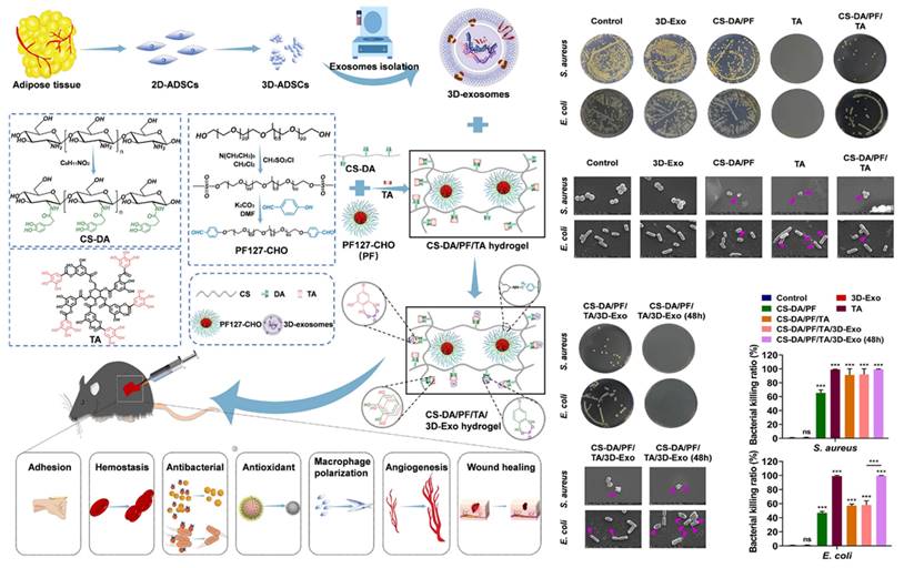 Theranostics Image