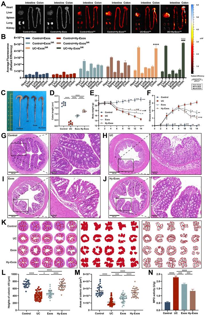 Theranostics Image