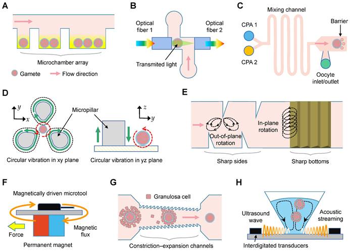 Theranostics Image