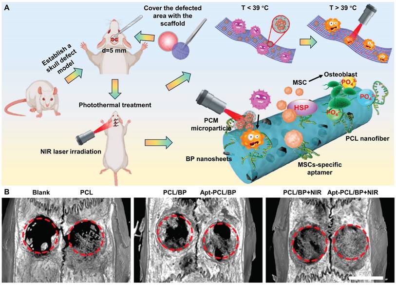 Theranostics Image