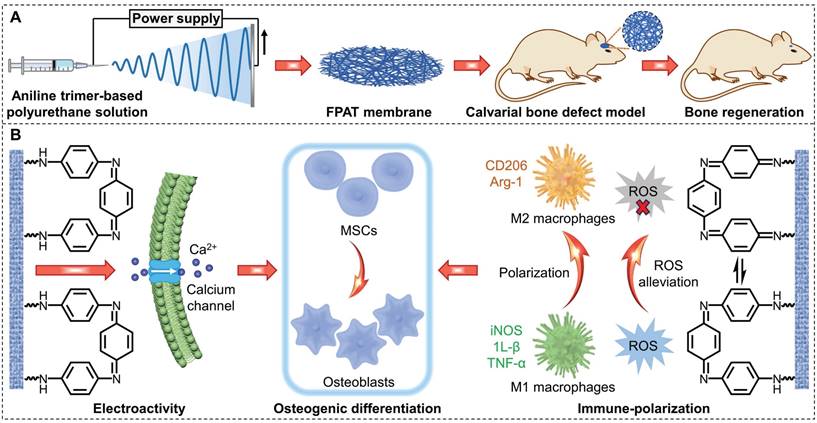 Theranostics Image