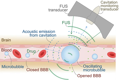 Theranostics Image