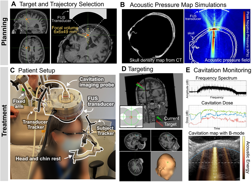 Theranostics Image