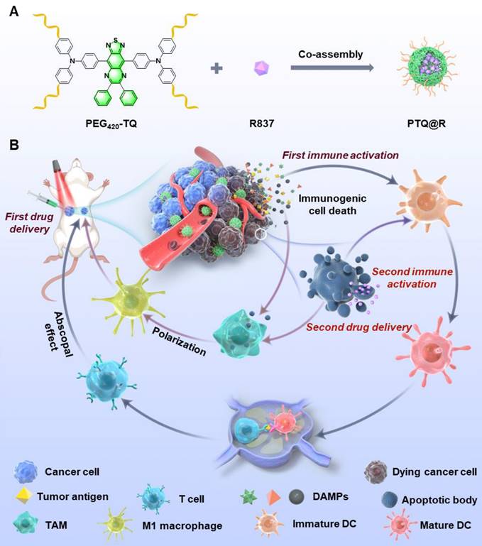 Theranostics Image