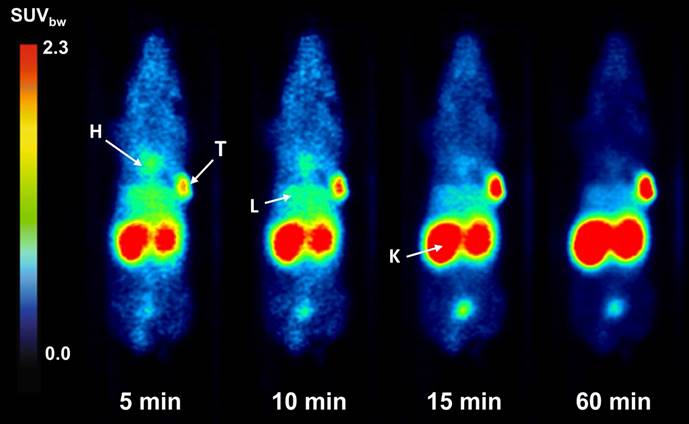 Theranostics Image