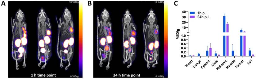 Theranostics Image