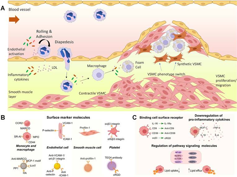 Theranostics Image