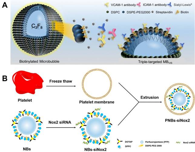 Theranostics Image