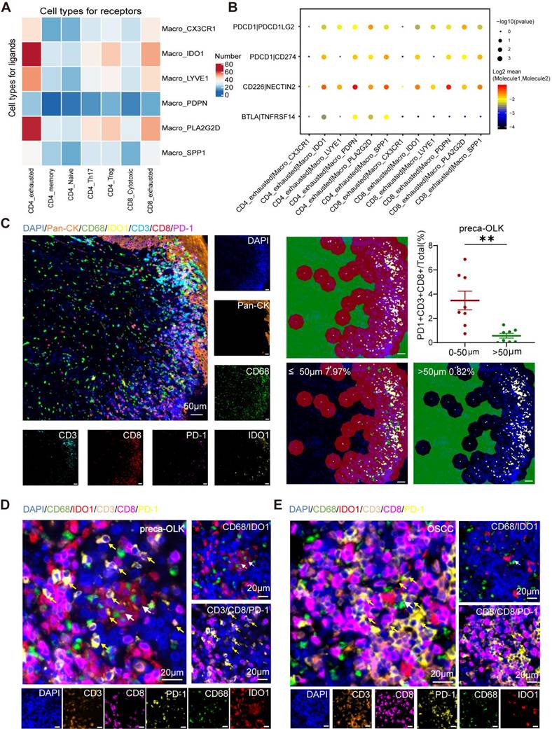 Theranostics Image