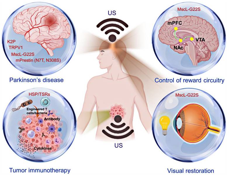 Theranostics Image