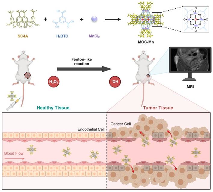 Theranostics Image