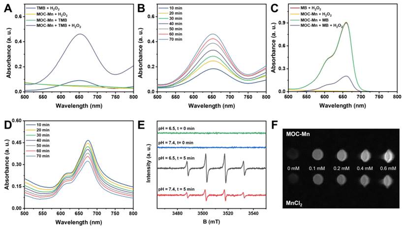 Theranostics Image