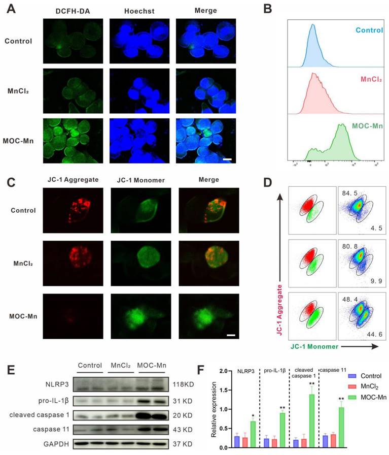 Theranostics Image